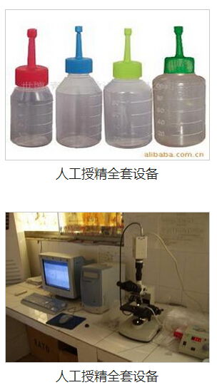 九宮格網絡營銷 助力中小企業數字化騰飛，共筑畜牧漁業飼料銷售新生態